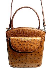 1331-Túi đeo chéo-Ostrich leather crossbody bag