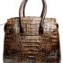 1301-Túi xách tay da cá sấu-CROCODILE skin birkin style handbag2
