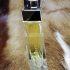 0437-Nước hoa-Salvatore Ferragamo Pour Homme EDT spray 50ml2