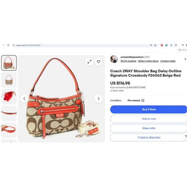 1483-Túi đeo chéo/đeo vai-COACH Daisy Signature satchel bag-Gần như mới16