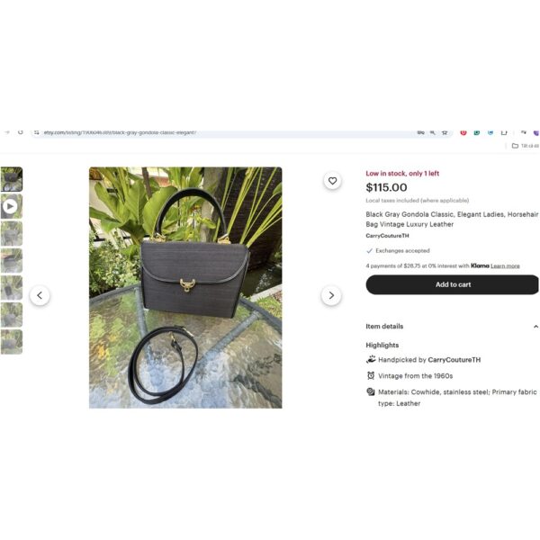 1457-Túi đeo chéo/đeo vai-GONDOLA horse hair crossbody bag-Gần như mới18