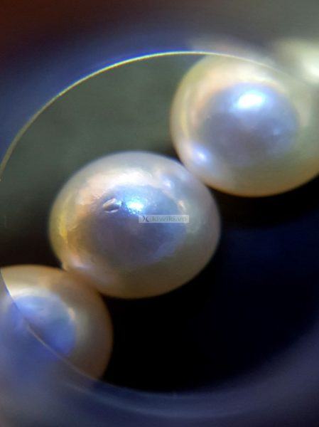 0846-Dây chuyền nữ-Pearl necklace4