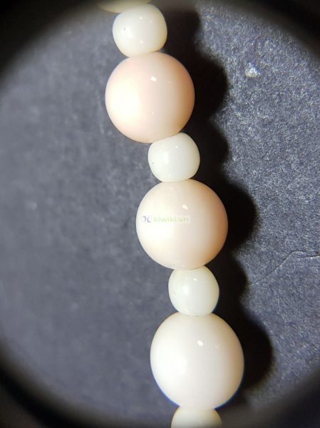 0841-Dây chuyền nữ-Angel Skin Coral Bead necklace2