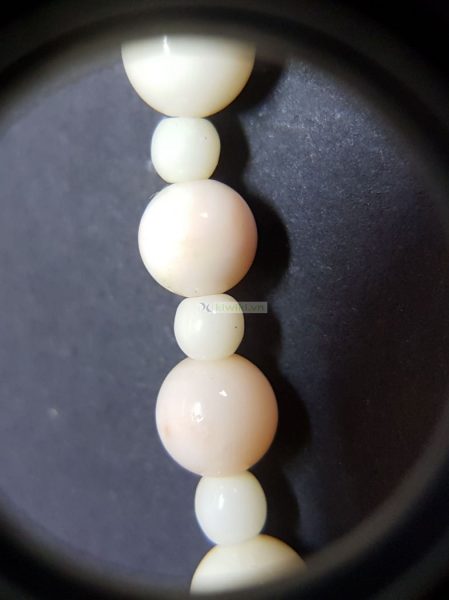 0841-Dây chuyền nữ-Angel Skin Coral Bead necklace3