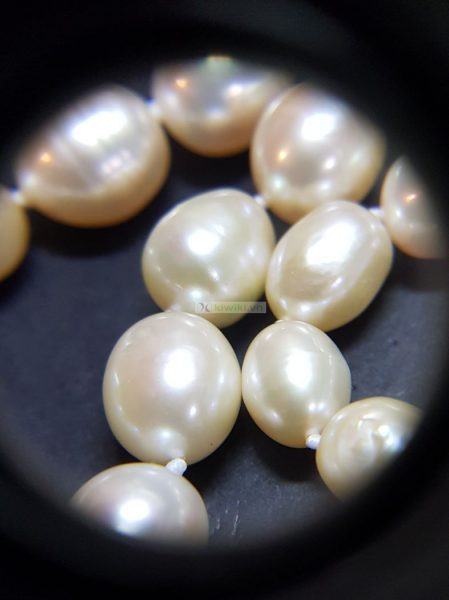 0845-Dây chuyền nữ-Pearl necklace6