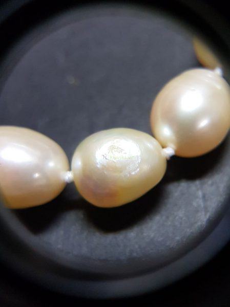 0845-Dây chuyền nữ-Pearl necklace7