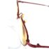 0676-Gọng kính nữ-Khá mới-CONVERSE 389 eyeglasses frame5