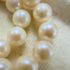 0843-Dây chuyền nữ-Seawater pearl 7mm necklace10