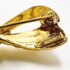 0962-Ghim cài áo-Nina Ricci gold plated bow brooch-Như mới5