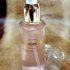 2235-Kem dưỡng da-Skin care STARMORE collection nourishing essence 100ml5
