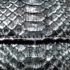 1739-Ví nam/nữ-PRECIOUS Python leather wallet7