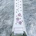 1827-Đồng hồ nữ-COGU sakura automatic women’s watch4