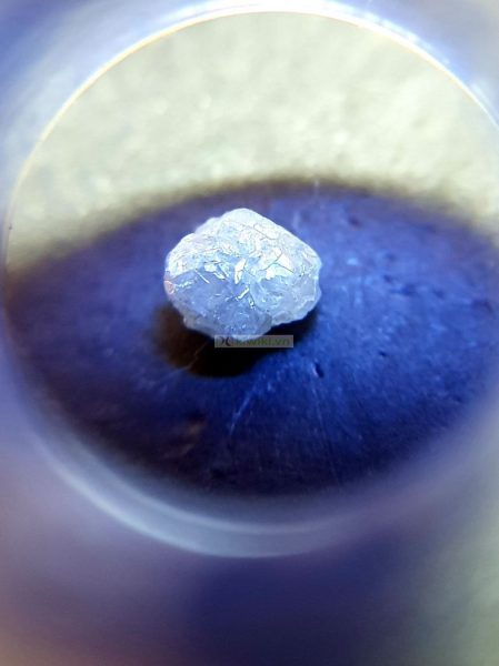 0595-Kim cương tự nhiên-Natural DIAMOND 0.6 carat2