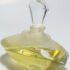 3020-Nước hoa nữ-Gardenia by Tan Giudicelli EDT splash 30ml3