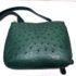 2588-Túi đeo chéo-OSTRICH skin green crossbody bag4