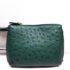 2588-Túi đeo chéo-OSTRICH skin green crossbody bag2