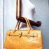 2597-Túi xách tay-OSTRICH leather handbag1