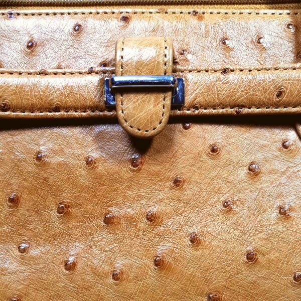 2597-Túi xách tay-OSTRICH leather handbag9