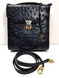 2608-Túi xách tay/đeo chéo-Ostrich leather hand/crossbody bag