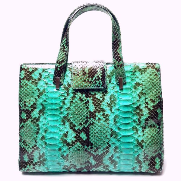 4001-Túi xách tay-DINASTIE Italy python skin green tote/shoulder bag1