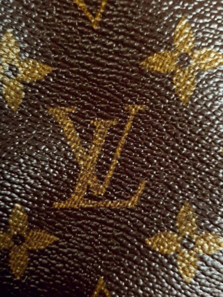 4009-Túi đeo chéo-LOUIS VUITTON Amazon monogram canvas crossbody bag13