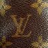 4009-Túi đeo chéo-LOUIS VUITTON Amazon monogram canvas crossbody bag13