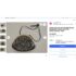 4025-Túi đeo chéo-BELLIDO lizard skin crossbody bag-Khá mới12