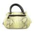 4266-Túi xách tay/đeo chéo-Python skin satchel bag1