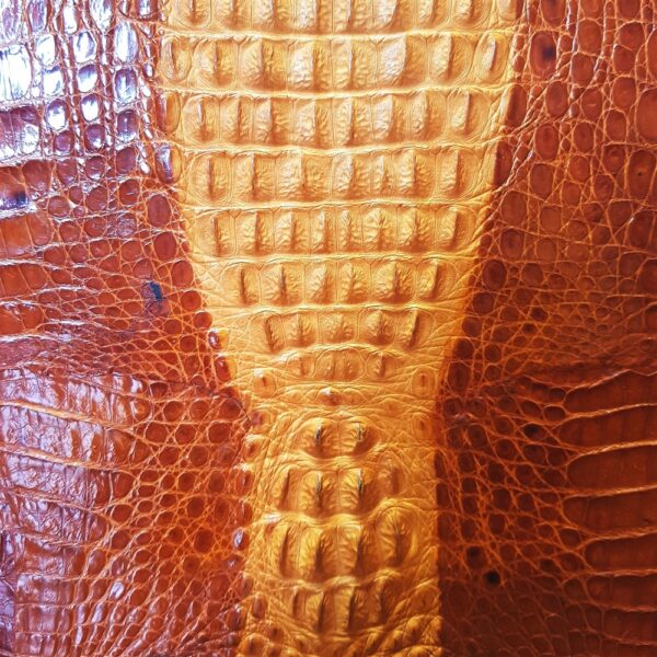 4051-Túi đeo vai da cá sấu-Crocodile leather shoulder bag6