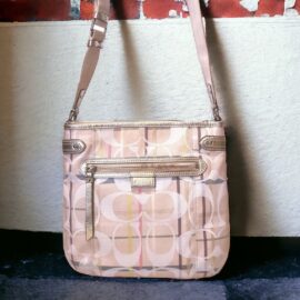 4323-Túi đeo chéo-COACH Daisy Signature Tattersall messenger bag
