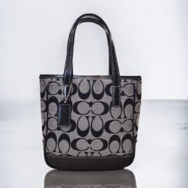 4318-Túi xách tay-COACH signature mini lunch tote bag-Khá mới