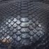 4490-Túi đeo chéo-Python skin crossbody bag5