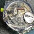 2154-Đồng hồ nam/nữ-SWATCH SDK913 OCEAN LIFE unisex watch (unused)10