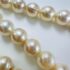 2254-Dây chuyền ngọc trai-Seawater pearl 7mm necklace13