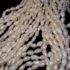 2272-Dây chuyền ngọc trai-Freshwater pearl 6 strands necklace9