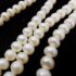2274-Dây chuyền ngọc trai-Button freshwater pearl necklace7