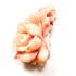 2347-Ghim cài áo/Mặt dây chuyền-Pink coral rose carved brooch-Khá mới5