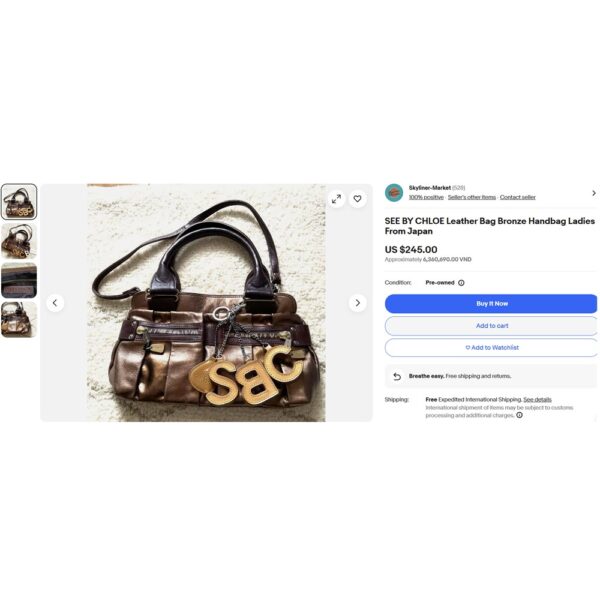 7211-Túi xách tay/Đeo vai-SEE BY CHLOE Metallic Daytripper 2 ways bag-Đã sử dụng23